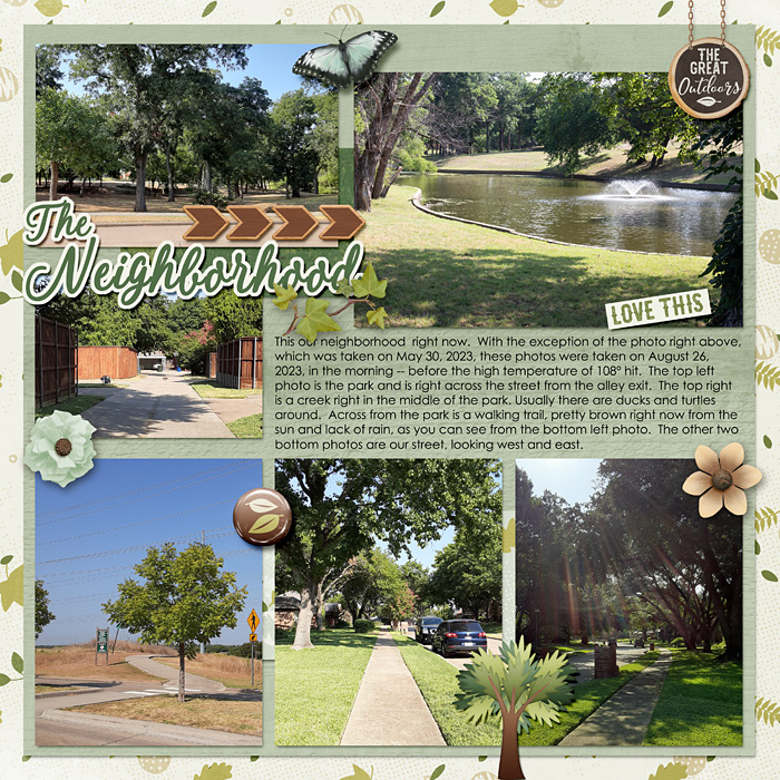 The Neighborhood