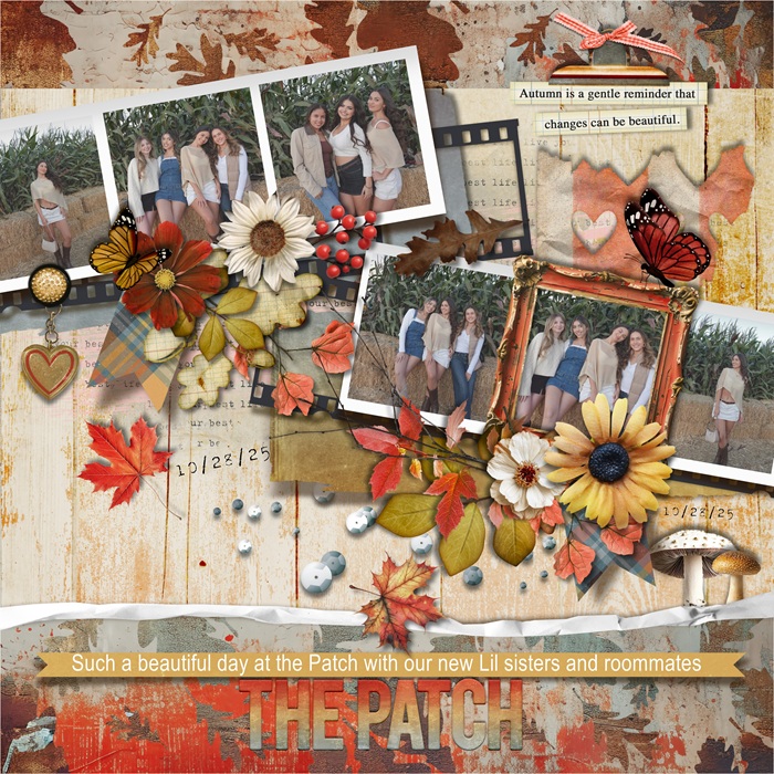 THE PATCH