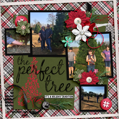 The Perfect Tree