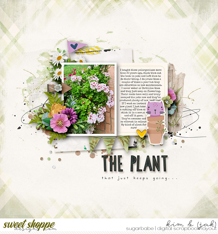 The Plant
