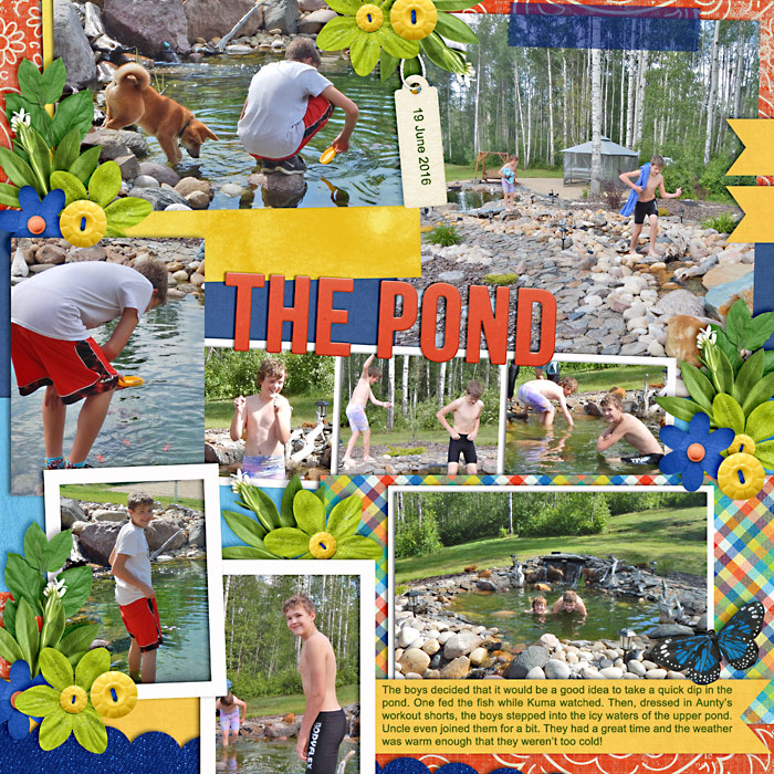 The Pond