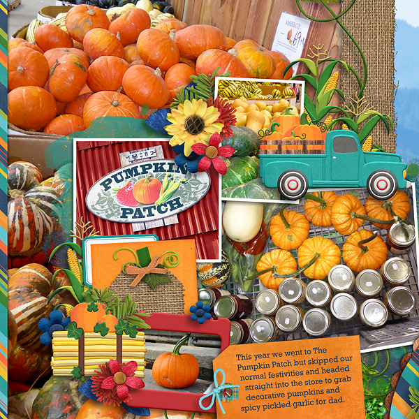The Pumpkin Patch Farm -