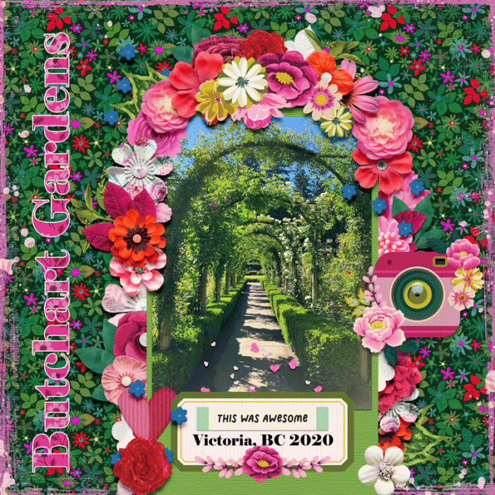 The Rose Garden