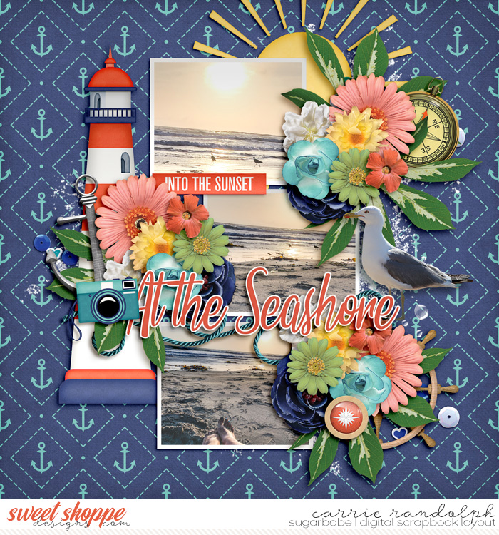 The Seashore