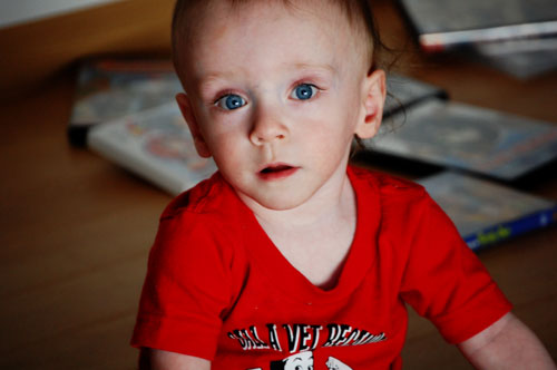 The Shutterbug Shakedown #13 - The Eyes