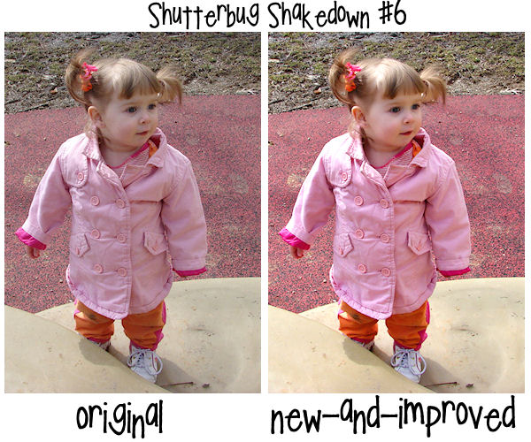 The Shutterbug Shakedown #6