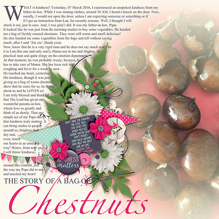 the story of a bag of chestnuts