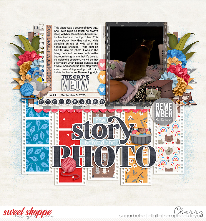 The Story Of The Photo