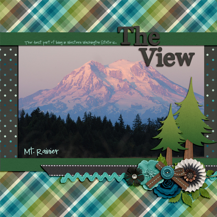 The View