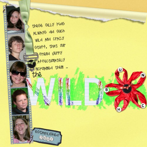 The Wild Bunch