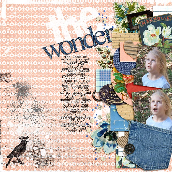 The Wonder