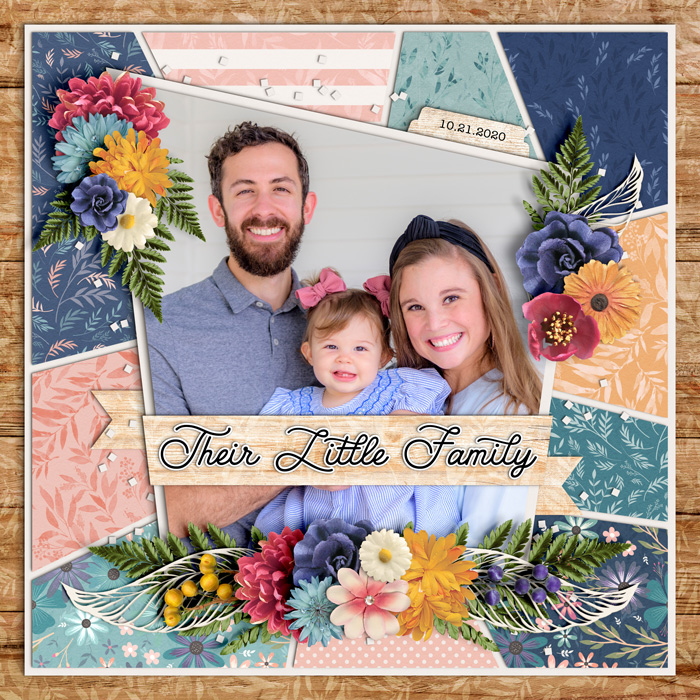 Their Little Family