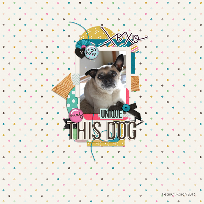 This Dog