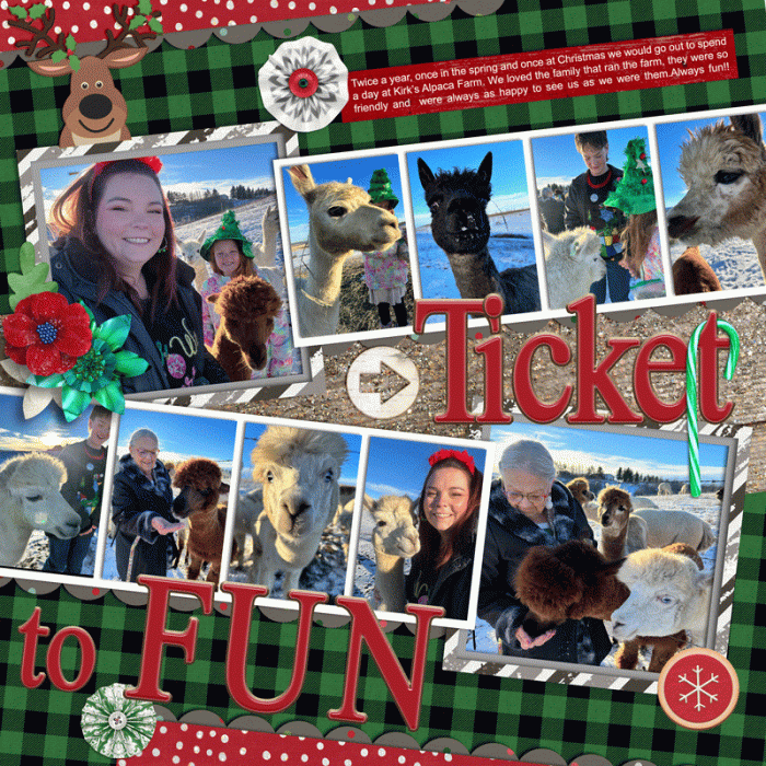 Ticket To Fun