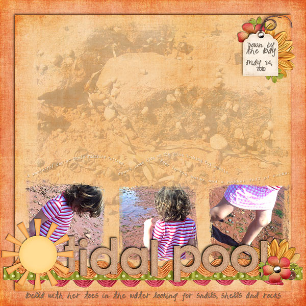 Tidal Pool