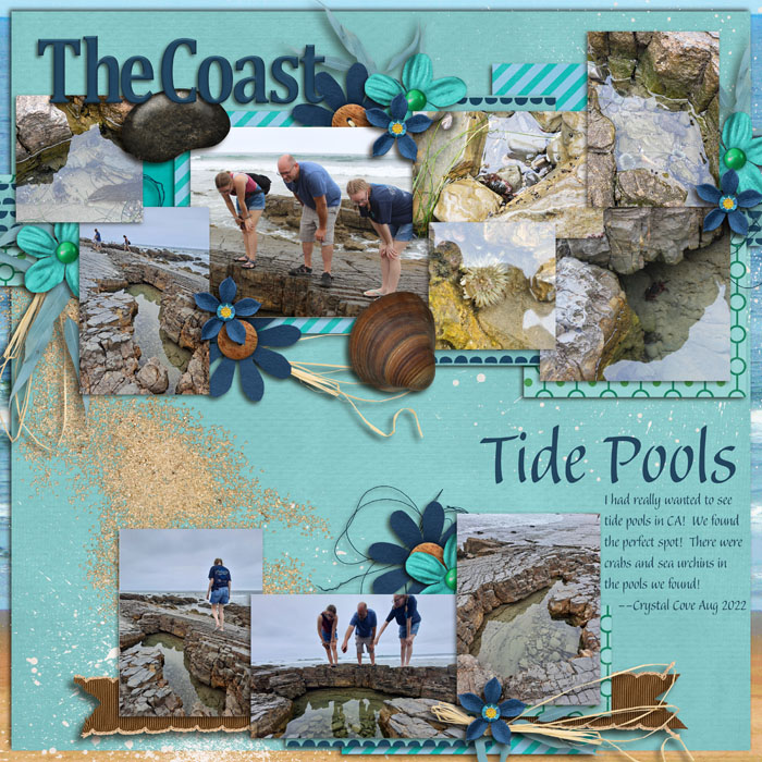 Tide Pools