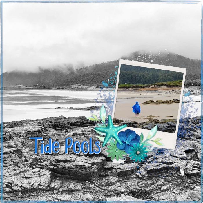Tide Pools