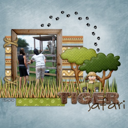 Tiger Safari