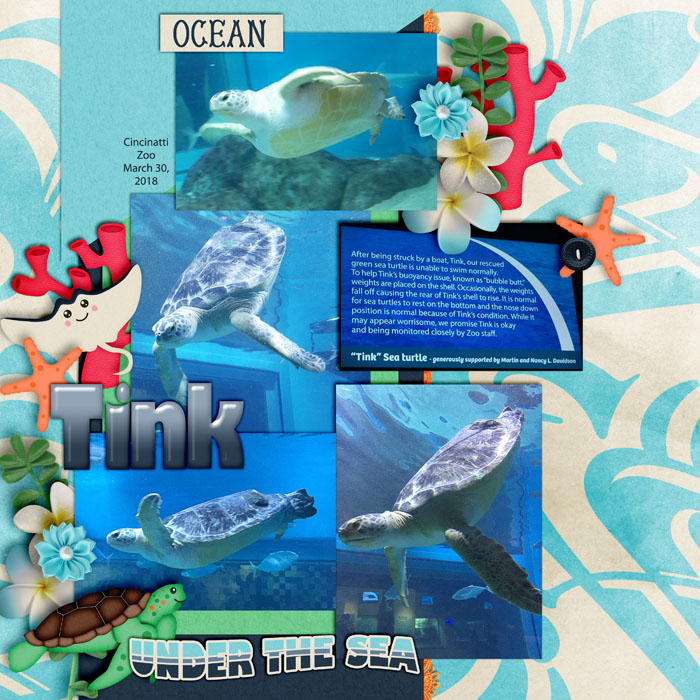 Tink Turtle