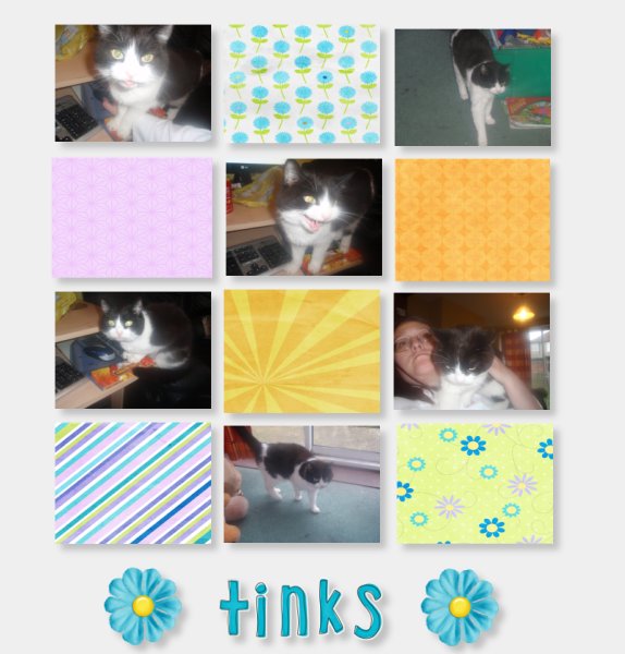 Tinks