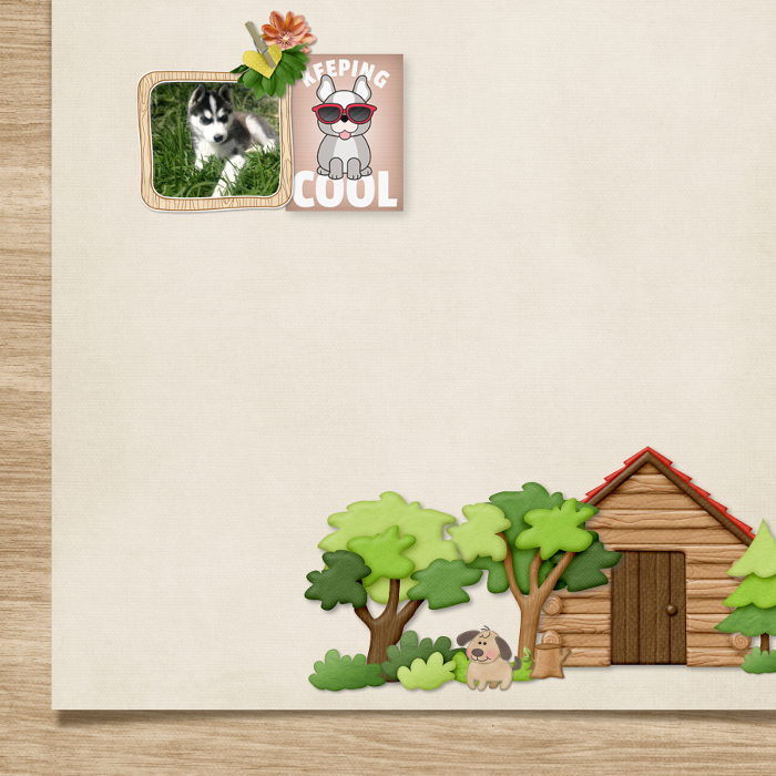 tiny picture