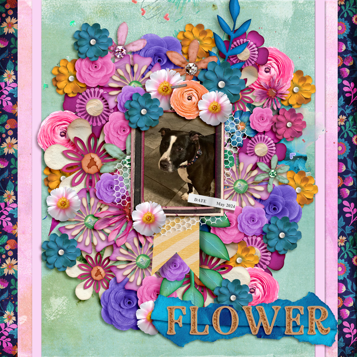 tnp-LETYOURSELFBLOOM-pcherylLO1