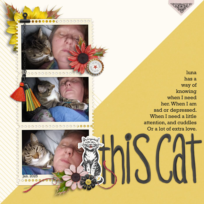 tnp-TheCatsMeow