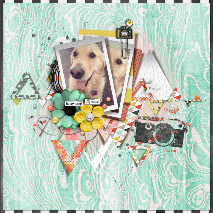 tnp-TRY-ANGLES-SNAPHAPPY_Tracy