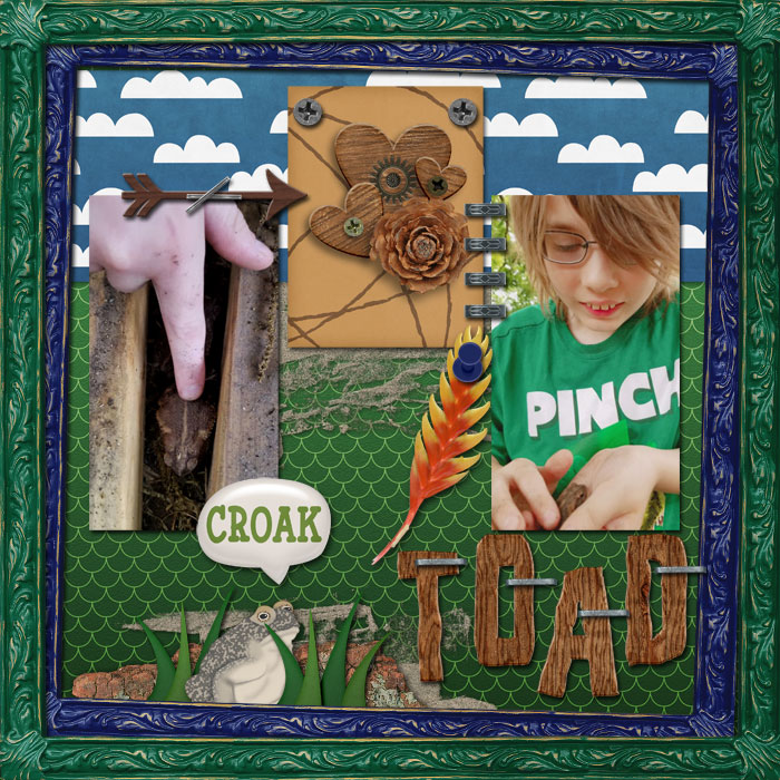 TOAD
