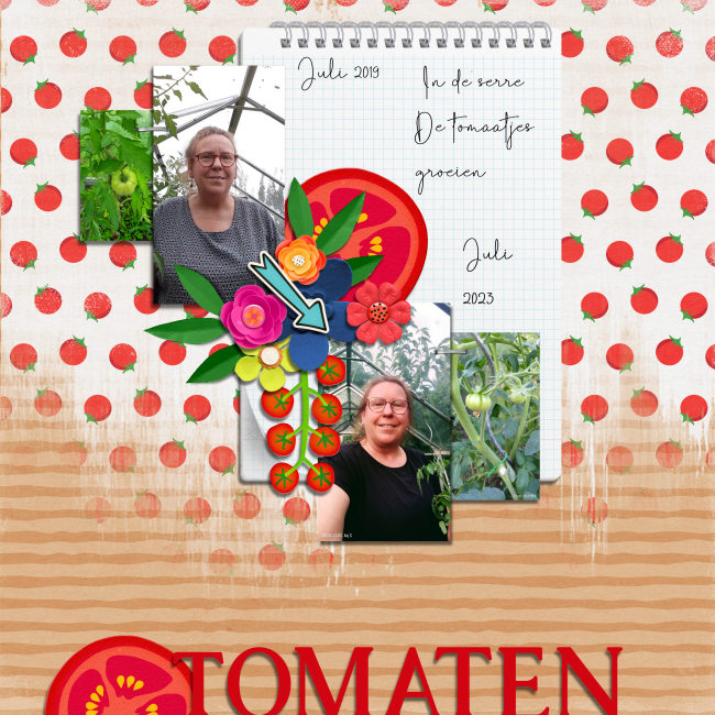 Tomaten