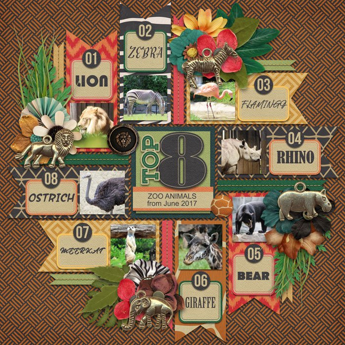 Top 8 Zoo Animals