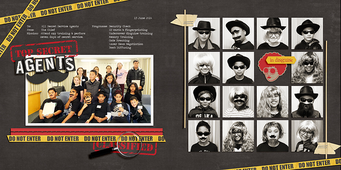 Top Secret Agents