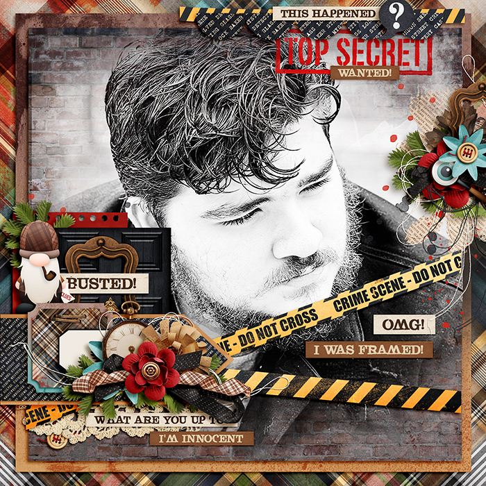 Top Secret: I Was Framed!