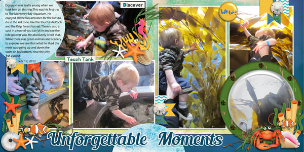 touch pools & kelp forest