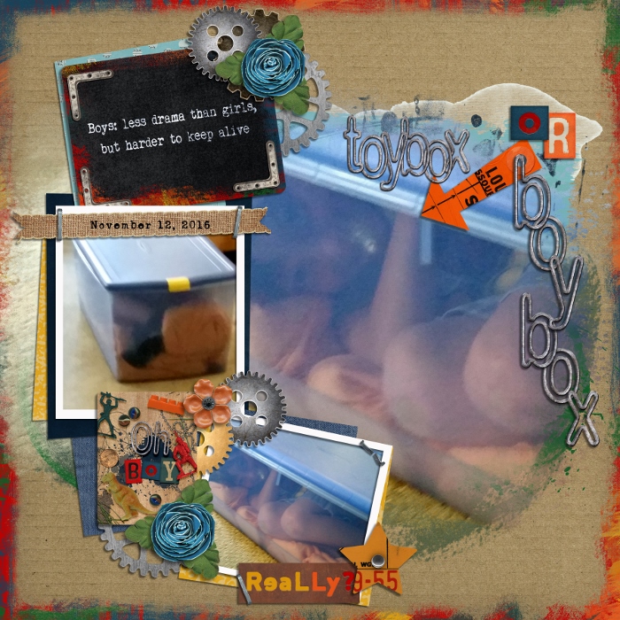 Toy Box OR Boy Box