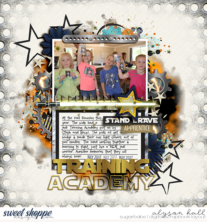 Training Academy