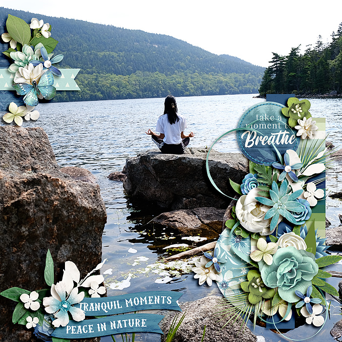 Tranquil Moments
