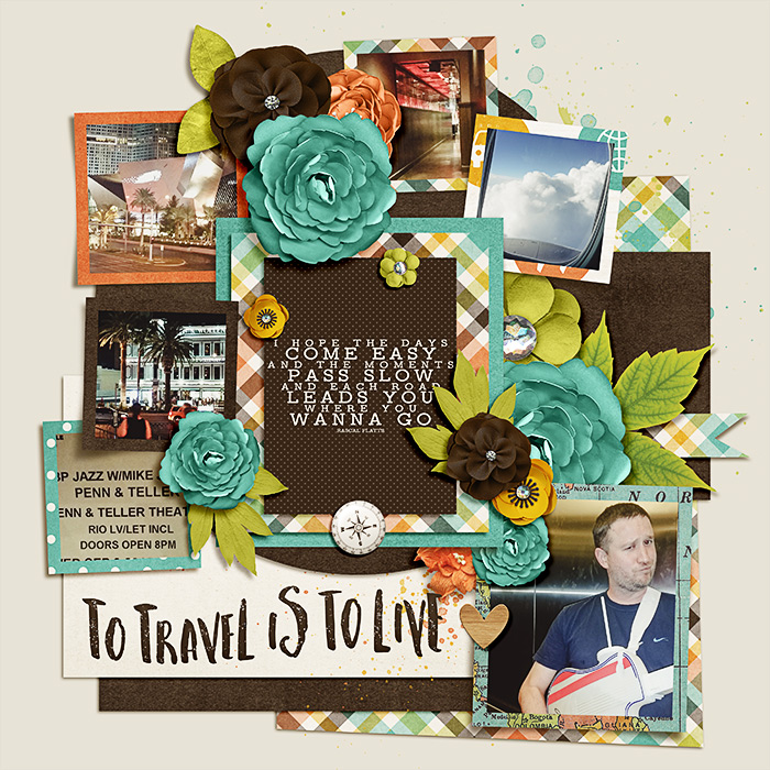 traveller