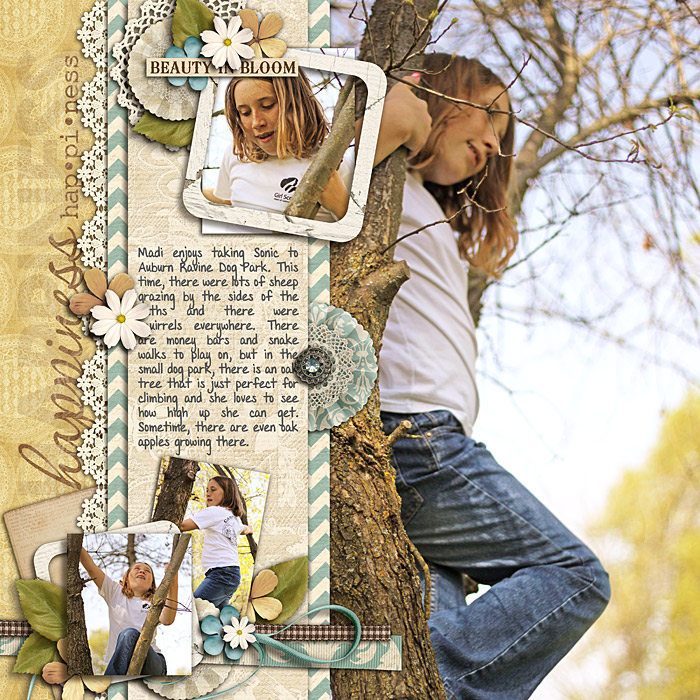 tree climbing