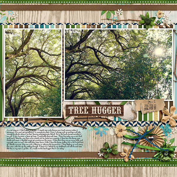 Tree Hugger