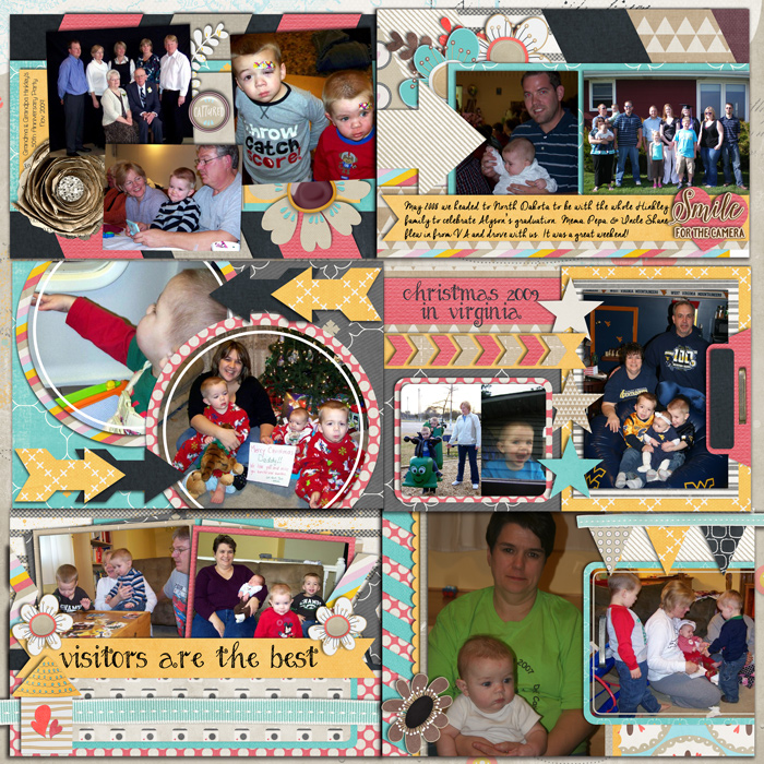 Trips and Visitors