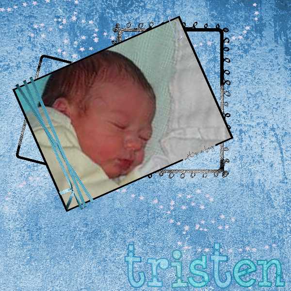 tristen_web