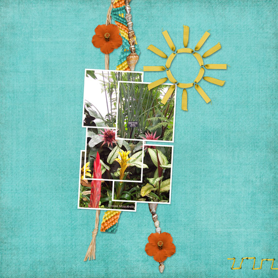 Tropical flowers