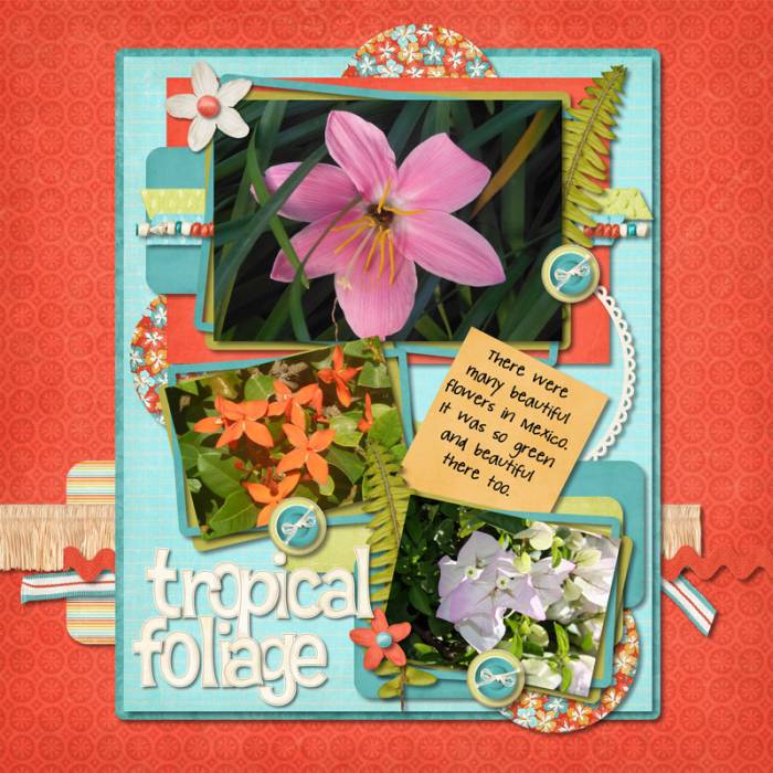 tropical foliage