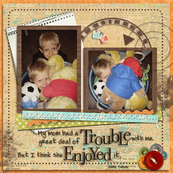 Trouble-Enjoyed