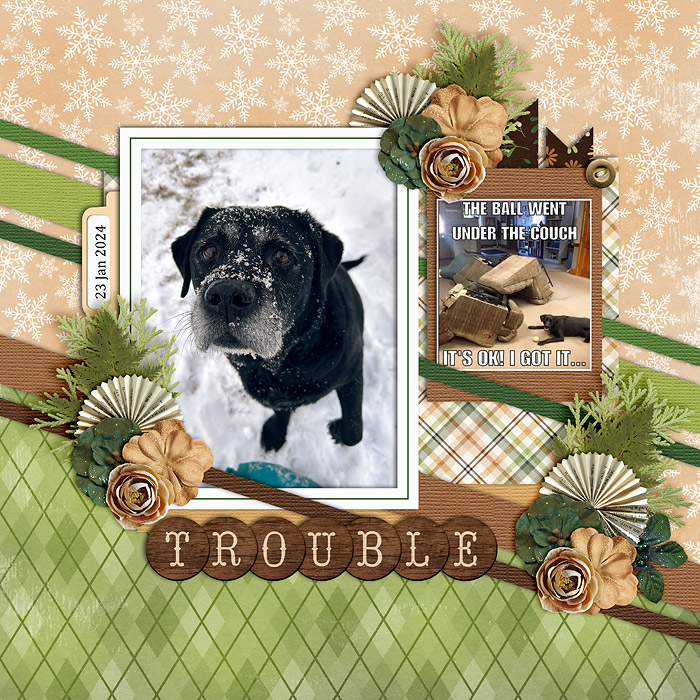 Trouble