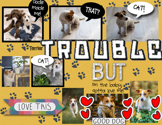 TROUBLE