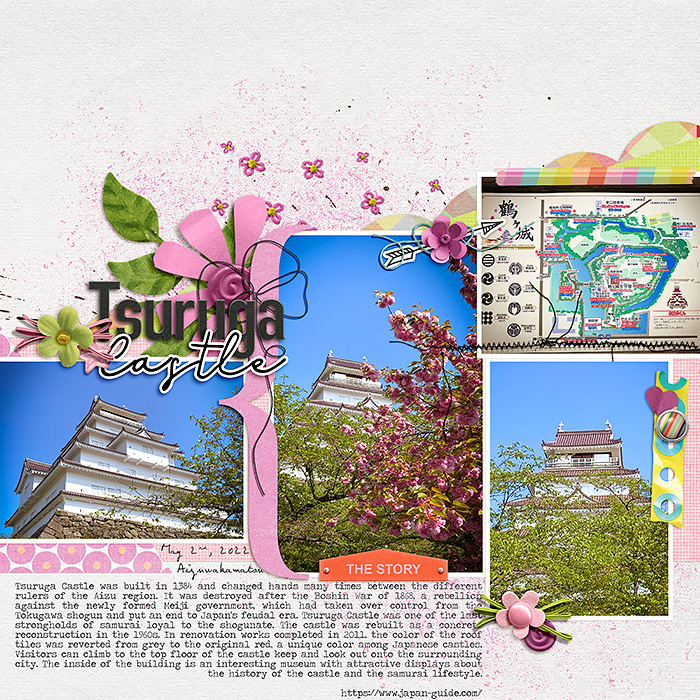 Tsuruga Castle 2