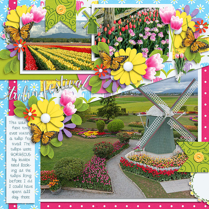 tulip festival
