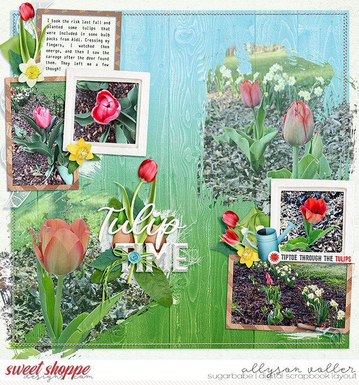Tulip Time